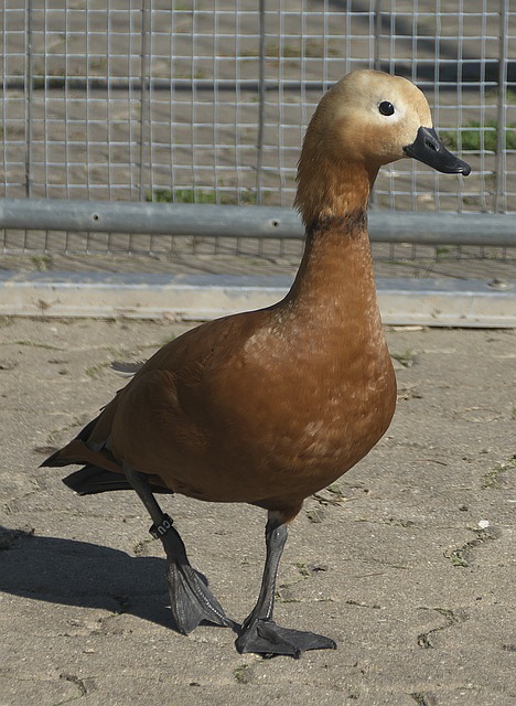 和专家关注