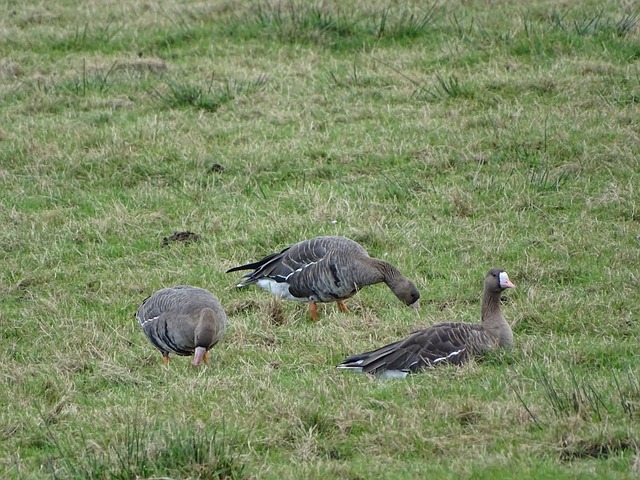 轻松战胜了 轻松战胜了