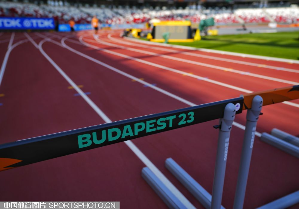 案例分析 案例分析