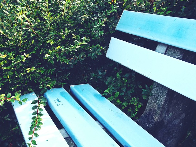 段不朽历史 段不朽历史