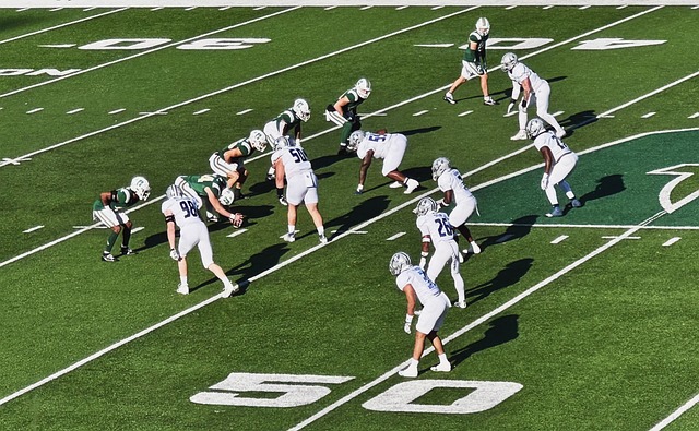 他不只是雷 他不只是雷